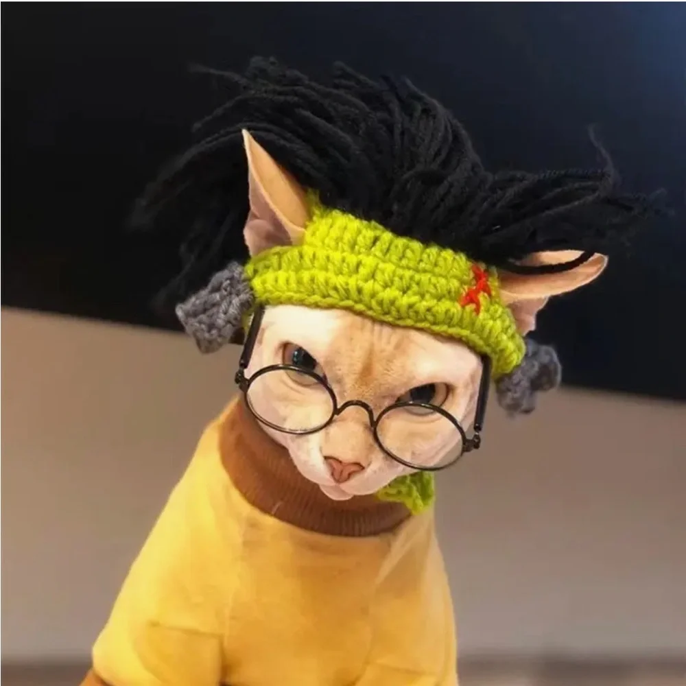 Costume Reggae Punk Rock Crochet Wig Hat for Small Pet Dog Cat (M)
